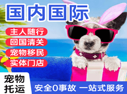 敦煌莫高航空快运国际宠物托运 【国